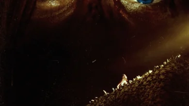 The Descent