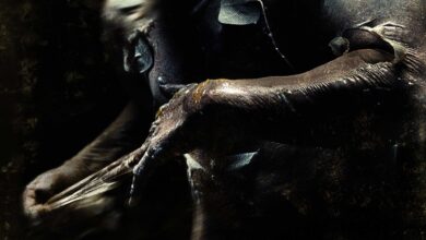 Pandorum